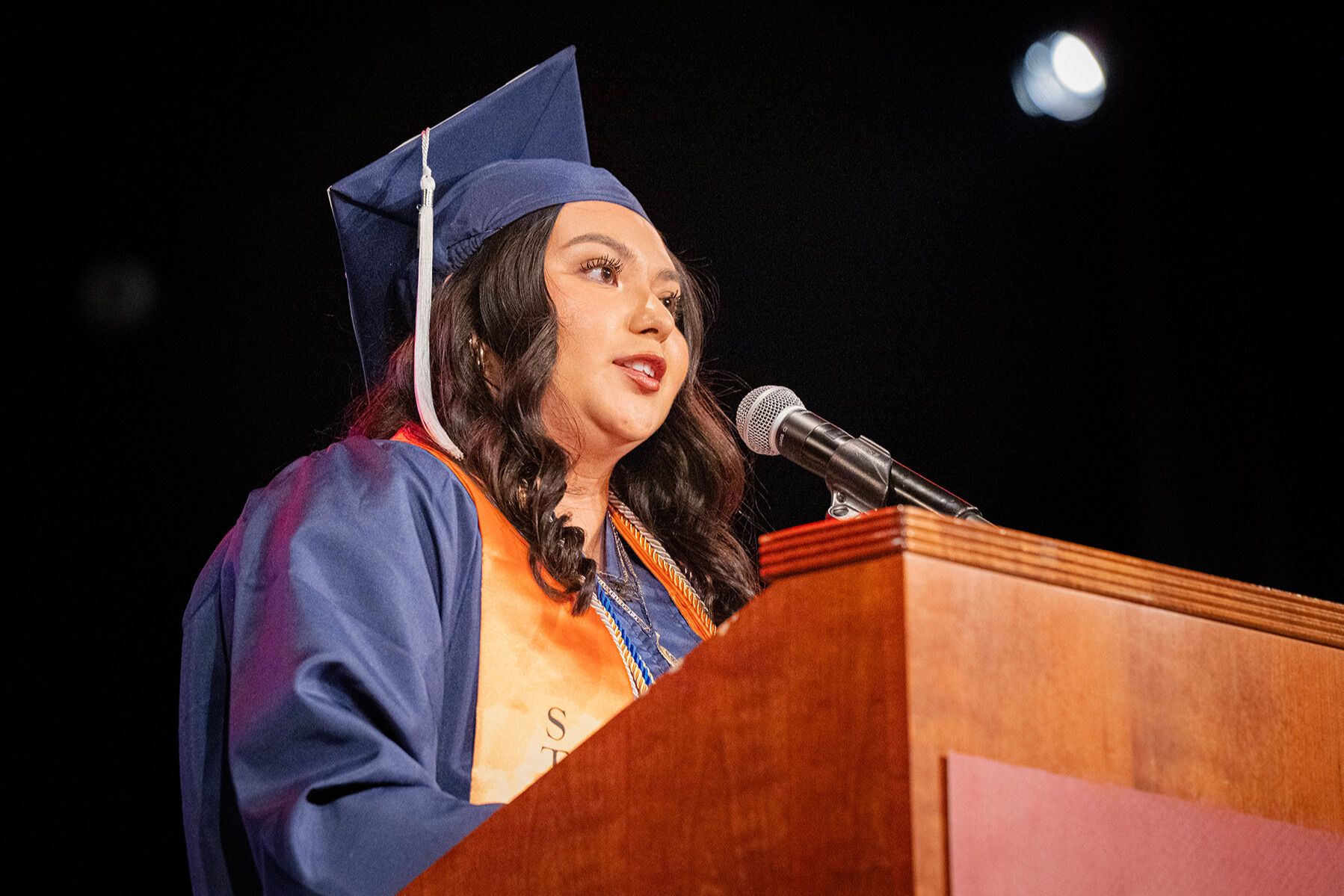 placeholder alt text